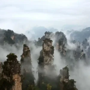 장가계 4 박 5 일   견적서